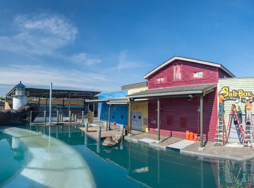 Rides At Adventure Cove, United States